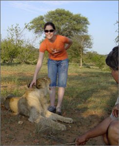 Lion cub with teen in Tshukudu (taken 2008). Source: USA Today